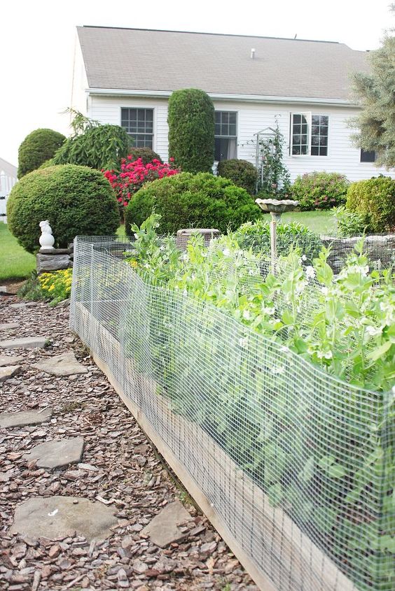 q hoe does your vegetable garden grow, gardening, outdoor living