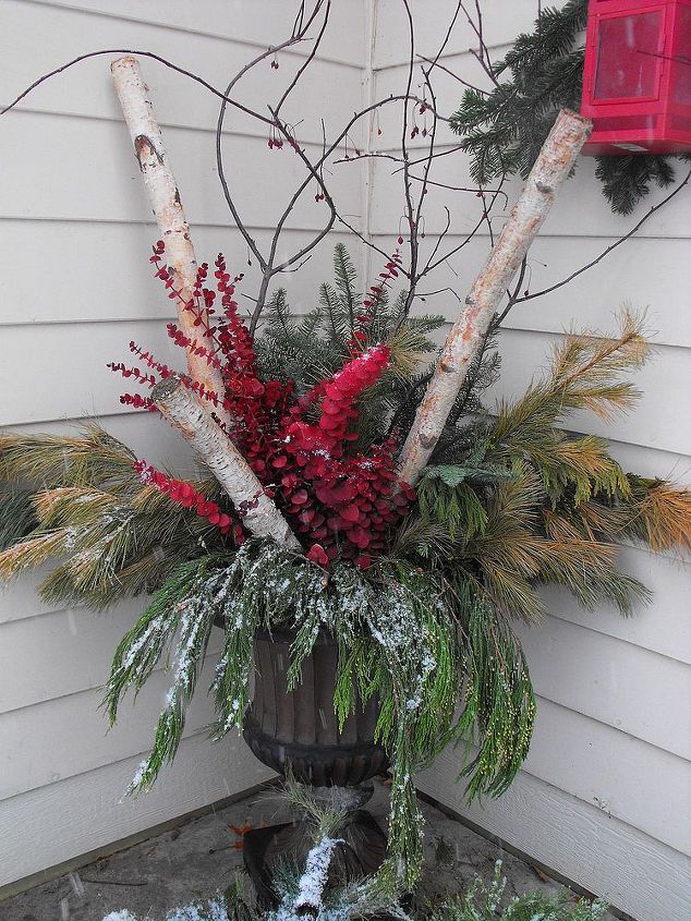 garden containers, christmas decorations, container gardening, gardening, seasonal holiday decor, Winter container for Christmas