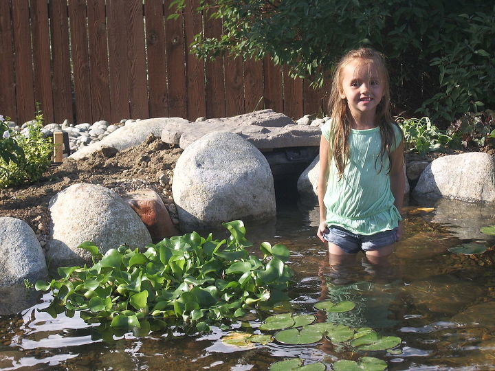 water gardening ponds water features waterfalls koi ponds outdoor lifestyles, gardening, outdoor living, ponds water features, And if you are lucky a little mermaid might appear