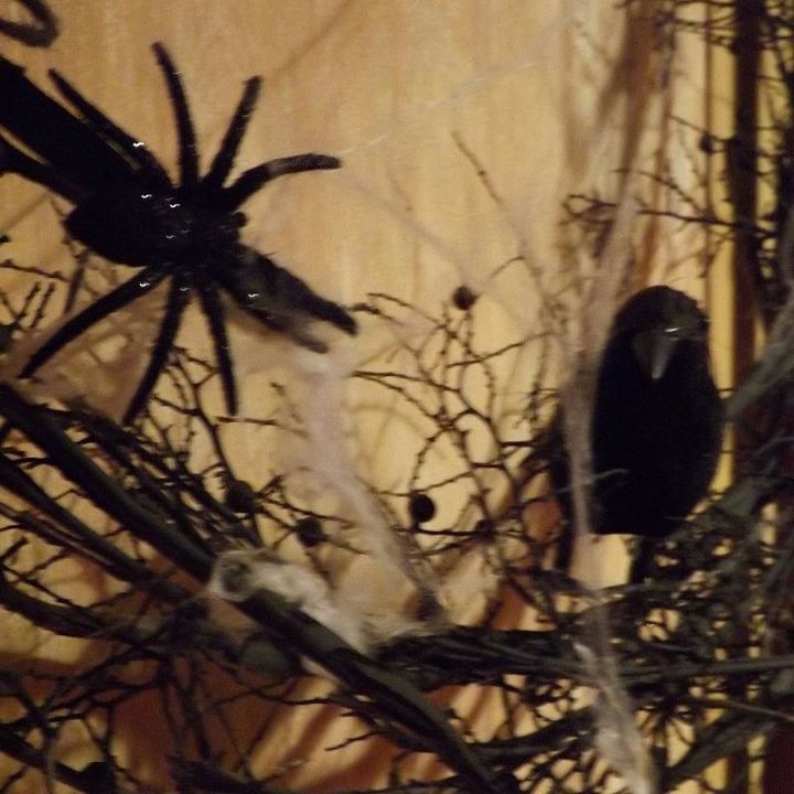 uma coroa artesanal feita de restos de palmeiras, Aranhas e teias de aranha