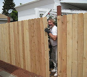 you gotta have faith, crafts, fences, outdoor living, painting, Our Neighbor caught trying to squeeze through
