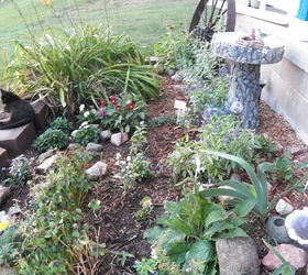 my rock gardens, flowers, landscape, outdoor living, ponds water features, Rock garden with bird bath and old steel wheel