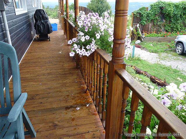 how to stain a deck staining a wood deck, decks, diy, home maintenance repairs, how to, painting, patio, Choose the deck stain color