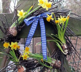 spring is busting out all over, container gardening, flowers, gardening, Tete a Tete Twig Wreath