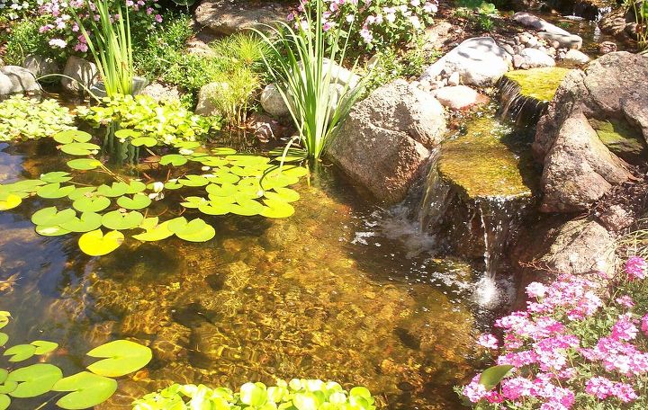 Ponds Inc. of Illinois
Website: www.ponds-inc.com
Facebook: https://www.facebook.com/PondsInc
Hometalk: http://www.hometalk.com/ponds
Pinterest: http://pinterest.com/pondsinc
Twitter: https://twitter.com/PondsInc4you
Flickr: http://www.flickr.com/photos/pondsincofillinois/
Certified Aquascape Contractor (CAC) in your area: http://www.aquascapeinc.com/findcontractors.php
