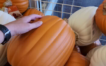 How to Make an Illuminated House Number Pumpkin Display for Fall