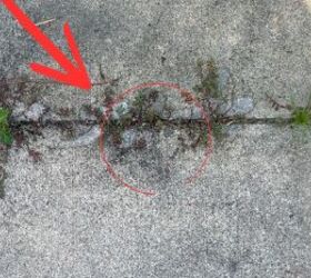 Use 2 things to banish all of your weeds forever