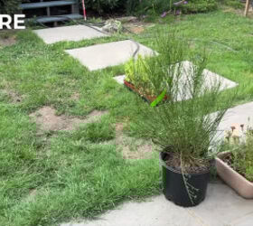 How I Completely Transformed My Yard With Vego