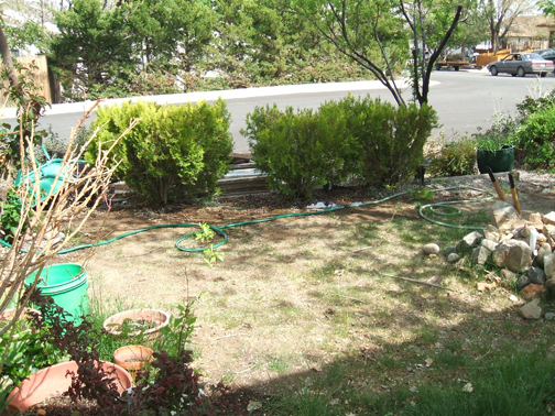 the yard at my house was a shambles when i moved in it became my project over the, gardening, landscape, outdoor living, My front view from the porch
