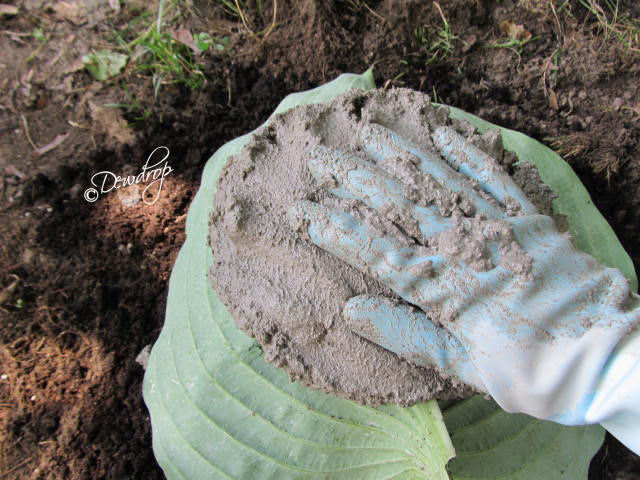 Home Made Bird Bath Hometalk Hosta Leaf Being Covered In Concrete