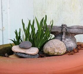 my spring garden, flowers, gardening, outdoor living, succulents, On top of the rain barrel