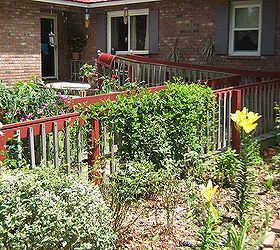 this wheelchair ramp has vines need help with a conservative trellis, decks, gardening, Vines are beautiful but cvurling around the ramp railings
