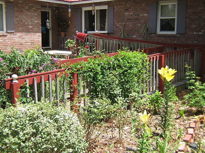 this wheelchair ramp has vines need help with a conservative trellis, decks, gardening, Vines are beautiful but cvurling around the ramp railings