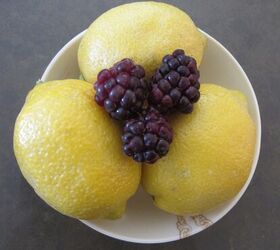 taste of summer a give away, gardening, Only berries sugar lemon needed