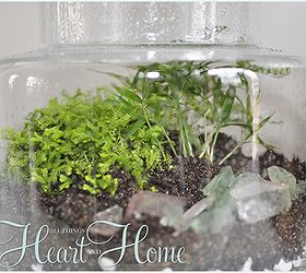 diy terrarium, crafts, gardening, terrarium, Adding a little sea glass makes it fun