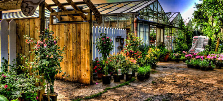 the garden charmers share their favorite facebook gardening pages, flowers, gardening, succulents, Ballanelson Nurseries