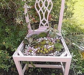 stashing succulents and other plants my way, flowers, gardening, succulents, A repurposed chair