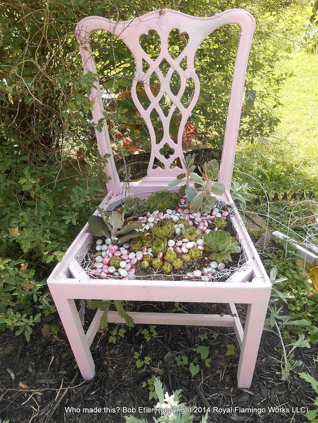 stashing succulents and other plants my way, flowers, gardening, succulents, A repurposed chair