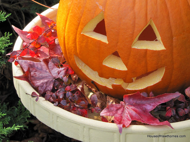 looking for a fun way to display your pumpkins this year, gardening, seasonal holiday d cor