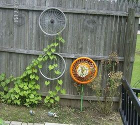 new spring 2013 flower garden, flowers, gardening, Hung up a couple bicycle tire rims for my morning glories to climb Hub cap flower in there also
