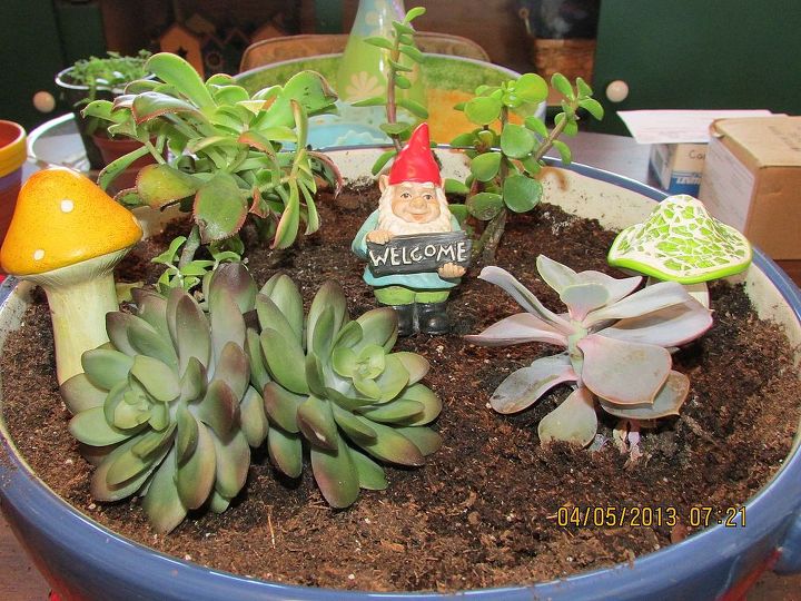 still snow on the ground here in wisconsin so i have brought gardening inside, gardening