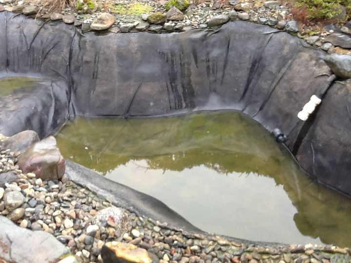 pond problem in rental, home maintenance repairs, landscape, ponds water features