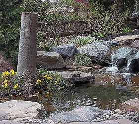 find serenity now with a water garden and patio, decks, flowers, gardening, landscape, outdoor living, patio, ponds water features, Reflect back to the other equinox the vernal