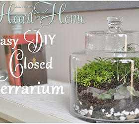 diy terrarium, crafts, gardening, terrarium, Moss and ittie bittie plants make a sweet terrarium
