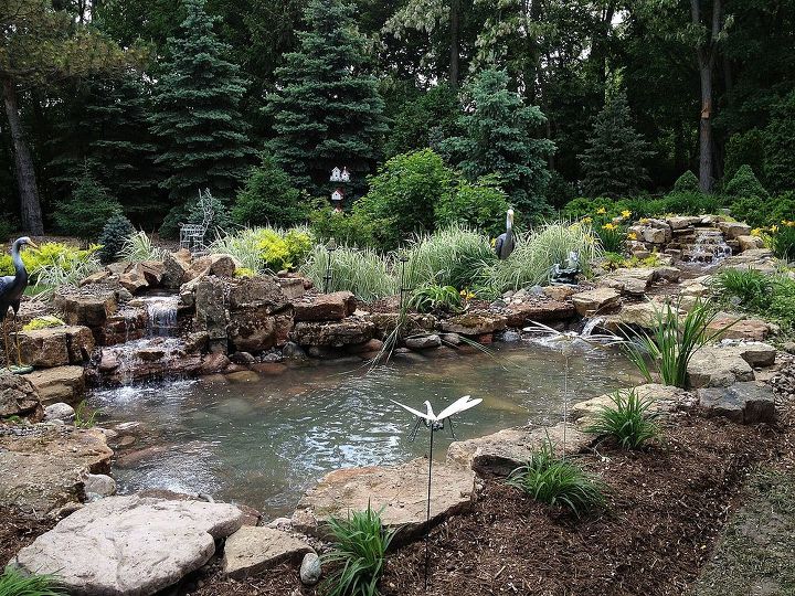 pondless waterfall to pond oakbrook il installed by gem ponds, gardening, outdoor living, ponds water features, Project complete No doubt Roy is living the high life
