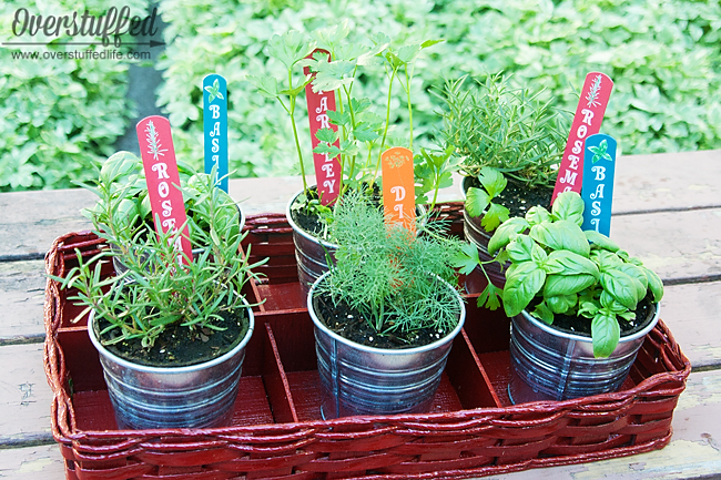 easy patio herb garden, container gardening, gardening