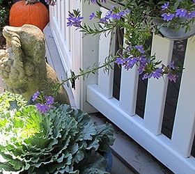 easy fall window boxes, gardening, For the First Day of Fall switched out the IKEA window boxes hanging on the gazebo with tiny mums flowering kale and kept the scaevola Quick and easy change season http pinterest com barbrosen our fairfield garden