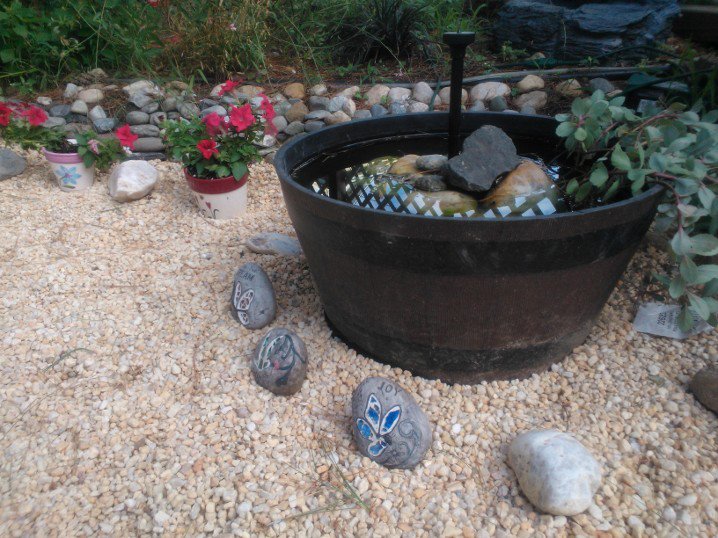 mini rock garden, gardening, Mini rock garden