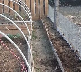 my first spring garden rennovating the landscape, flowers, gardening, pallet, I wish I had left more room between beds I still need to scrape the walkway better here I planted 2 grape vines and wildflowers along the fence Notice the snake bunny fence A must out here