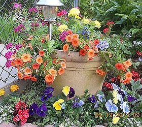 my spring garden flowers, flowers, gardening