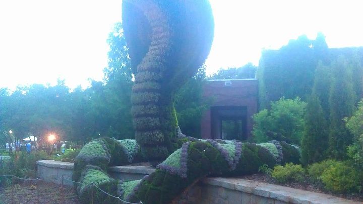 atlanta botanical gardens for date night, gardening, succulents, Another view of Cobra 2