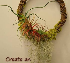 create an air garden with a tillandsia wreath, crafts, gardening, wreaths, Create your own Air Garden With minimal upkeep these gardens can stay up year round Offering 365 days of beauty
