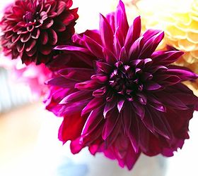 how to make cut flowers last, flowers, gardening, I have some tips for you that will keep your flowers looking their best for as long as possible