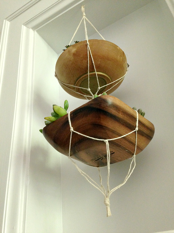 mini hanging planter, crafts, gardening, home decor, succulents