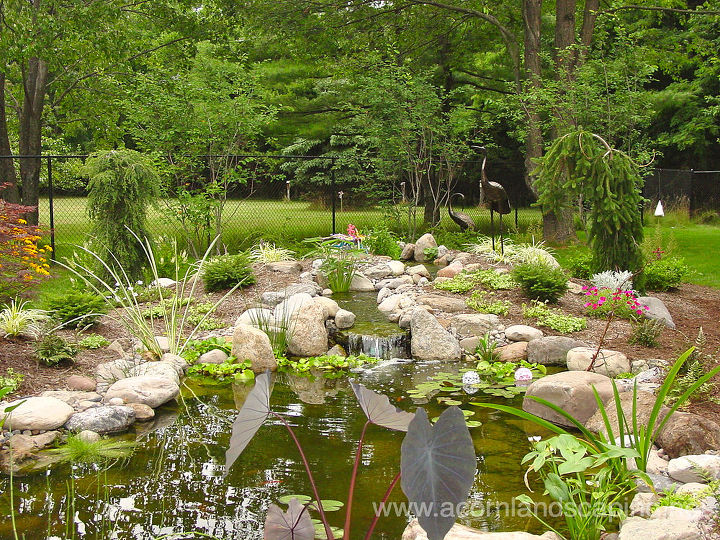 water gardens rochester ny fish ponds, landscape, ponds water features, Ponds Pond Design Water Garden Koi Pond Led Pond Lighting Design by Acorn Landscaping of Rochester NY 585 442 6373
