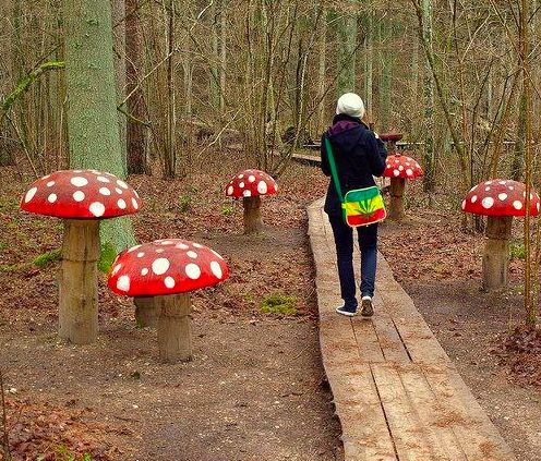 11 Creative Mushroom Projects for your Garden... | Hometalk