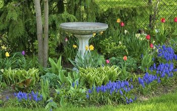 12 Charming Gardens ~ Personal Spaces for Inspiration