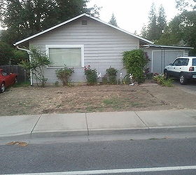 front yard still in progress, curb appeal, landscape, shows the old lines from sprinklers