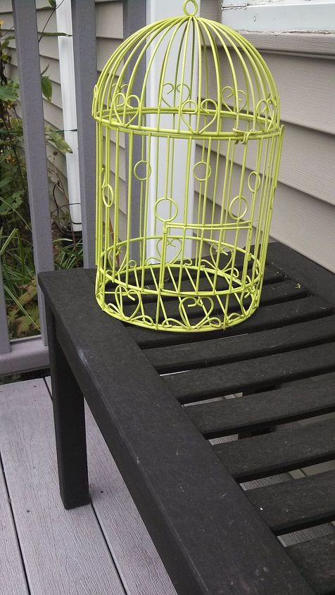 the art of using art in the garden, gardening, repurposing upcycling, Repurpose bird cages by paiting bright colors