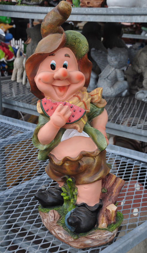 weigh in garden gnomes are they cute or tacky, gardening, outdoor living, I think this guy has had a few to many pieces of watermelon