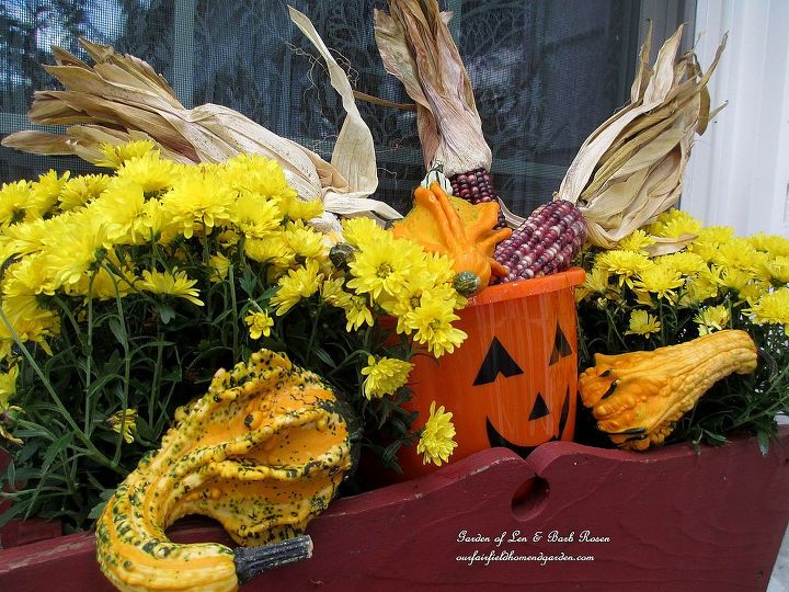 fall decorating at our fairfield home garden, flowers, gardening, halloween decorations, seasonal holiday d cor, Kitchen Window Box
