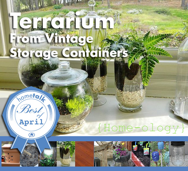 what were the top 10 hometalk posts in april, Terrariums are hot right now and so is this project By Sarah Krouse