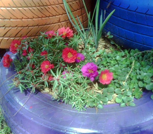 re purpose on a dime, flowers, gardening, repurposing upcycling, re purposed tire planter