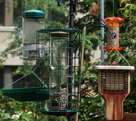 addendum to a post bird feeder protector, outdoor living, pets animals, This image of a food court array of bird feeders in my garden was featured in my 9 20 13 post on HT