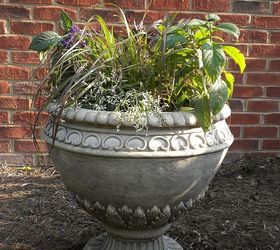 plan now annual flower containers, container gardening, flowers, gardening, Spring starters heliotrope purple fountain grass potato vine