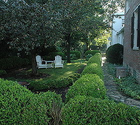 williamsburg style gardens, gardening, patio, Side yard formal gardens